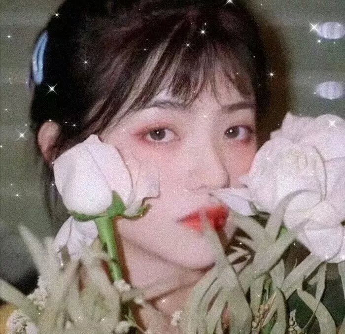请多多关照